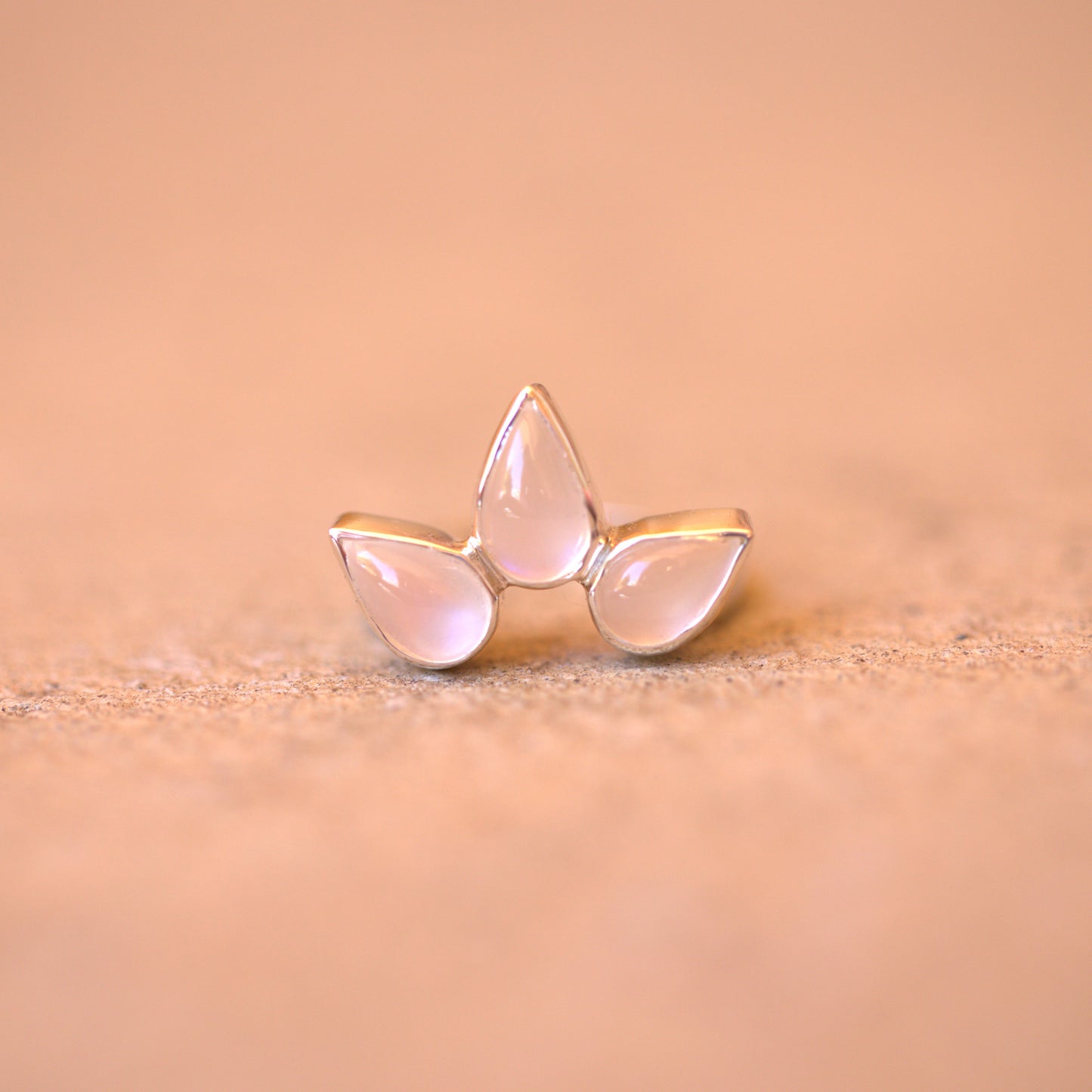 Lotus Moon