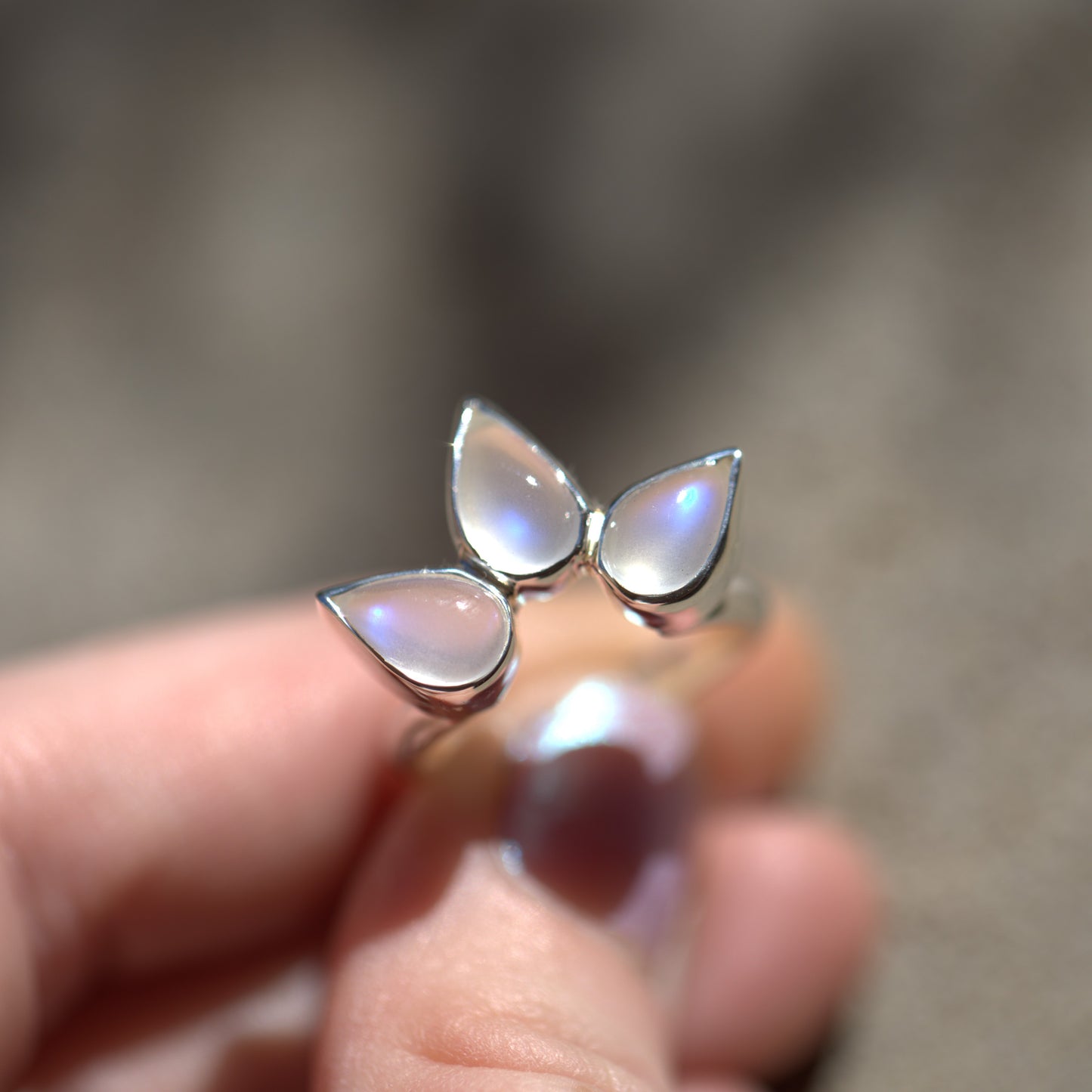 Lotus Moon