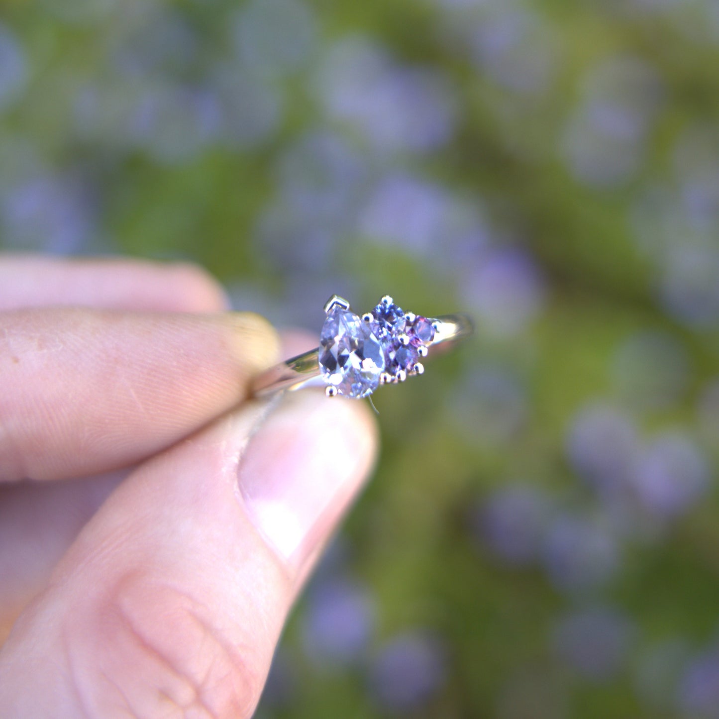 Lilac Cluster