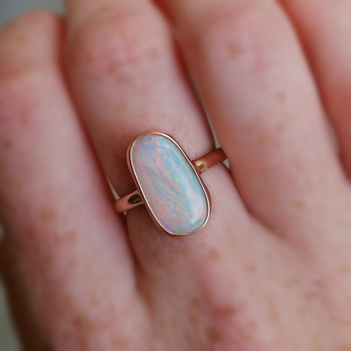 Lovebird Rainbow